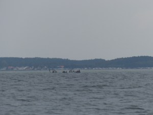 Die Fahrwassertonnen sollte man hier wohl besser ernst nehmen...